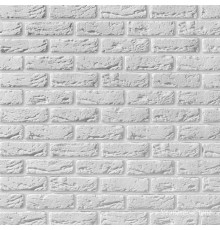 Руан 100
