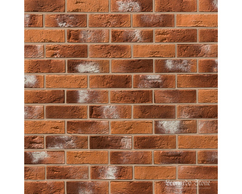 Бремен 490