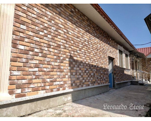 Лион 485