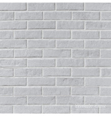 Денвер 100