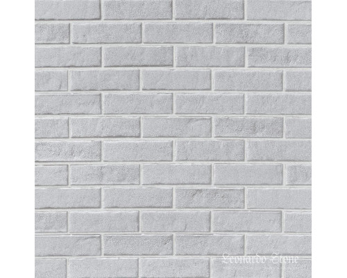 Денвер 100